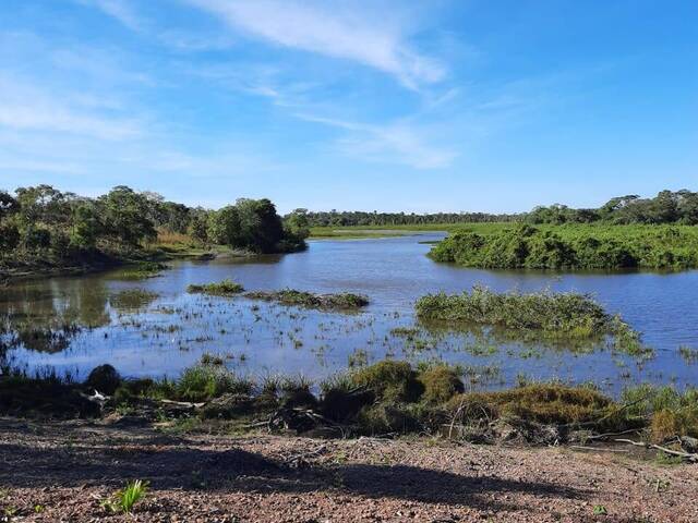 Venda em St Sul - Natividade