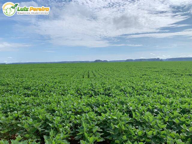 Venda em Pampulha - Caxias