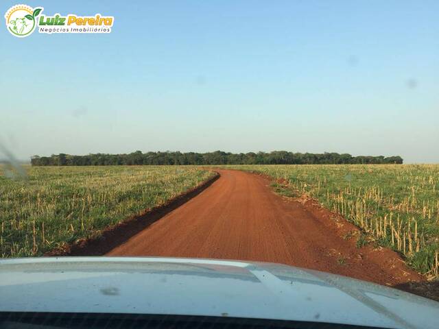 #2364 - Fazenda para Venda em Peixe - TO - 2