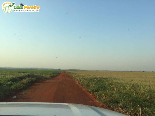 #2364 - Fazenda para Venda em Peixe - TO - 3