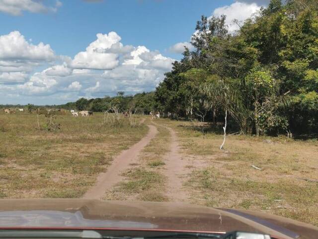 #2378 - Fazenda para Venda em Santa Quitéria do Maranhão - MA