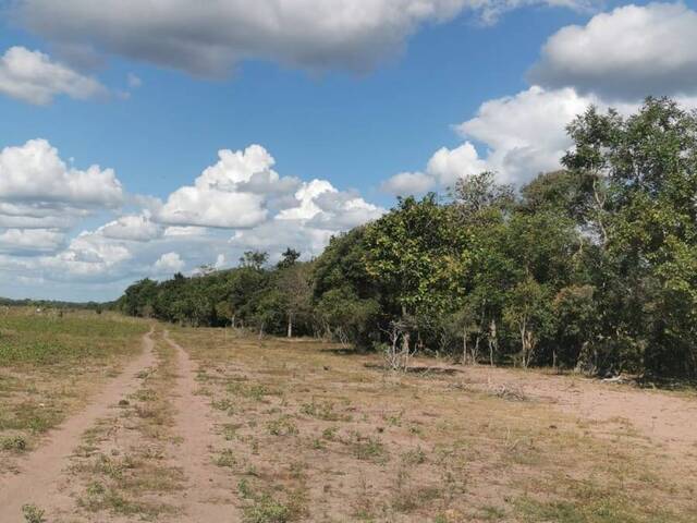 #2378 - Fazenda para Venda em Santa Quitéria do Maranhão - MA - 3