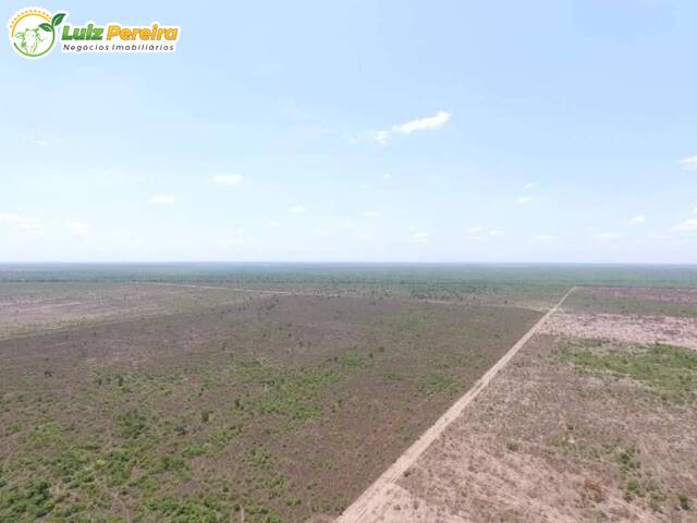 #2379 - Fazenda para Venda em Santa Quitéria do Maranhão - MA