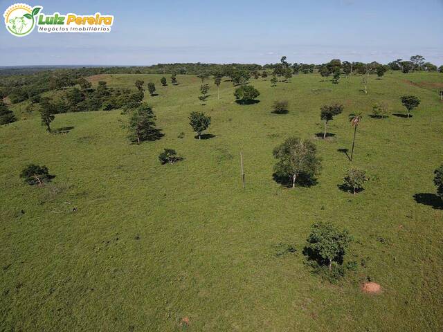 #2380 - Fazenda para Venda em Dois Irmãos do Tocantins - TO - 3