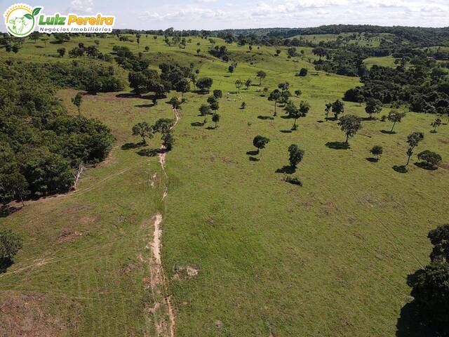 #2380 - Fazenda para Venda em Dois Irmãos do Tocantins - TO - 1