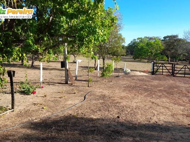 Venda em Zona Rural - Santa Maria do Tocantins