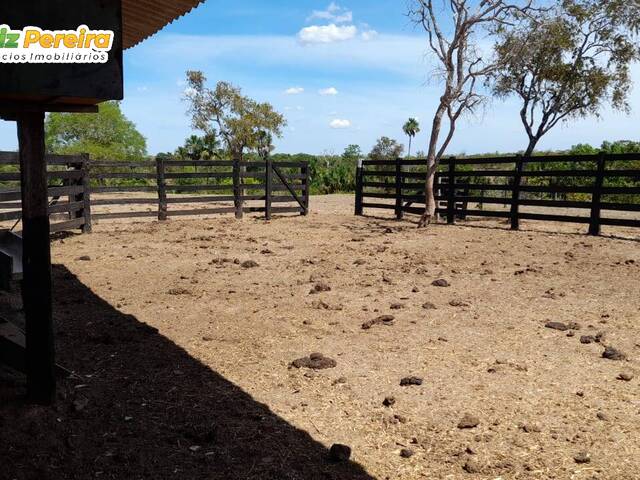 #2385 - Fazenda para Venda em Santa Maria do Tocantins - TO - 3