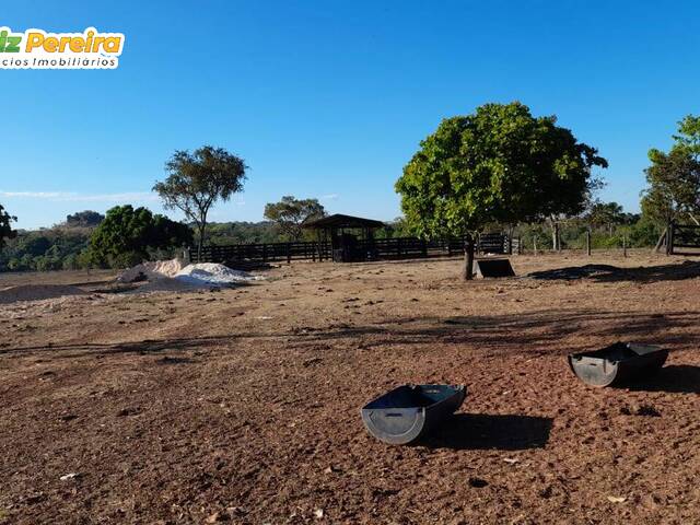 #2385 - Fazenda para Venda em Santa Maria do Tocantins - TO - 2