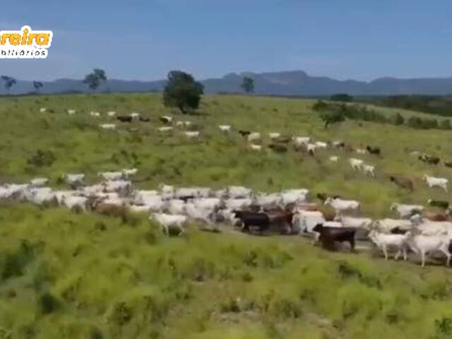 #2382 - Fazenda para Venda em Arraias - TO - 2