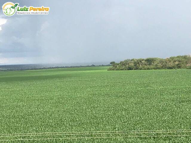 #2386 - Fazenda para Venda em Loreto - MA - 3