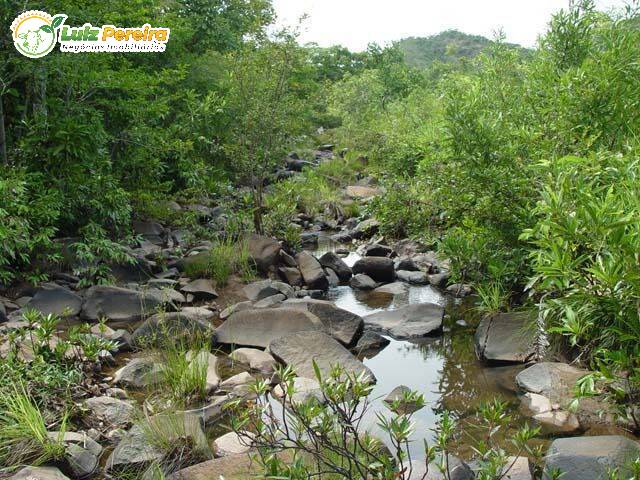 #2388 - Fazenda para Venda em Arraias - TO - 3