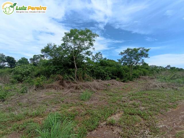 #2389 - Fazenda para Venda em Dois Irmãos do Tocantins - TO - 1