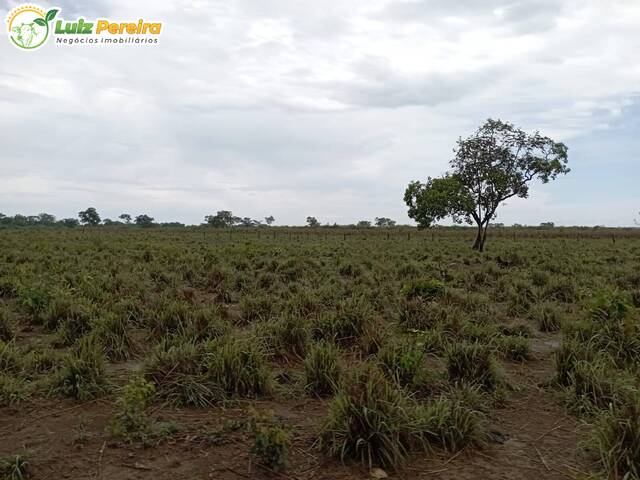 #2389 - Fazenda para Venda em Dois Irmãos do Tocantins - TO - 2