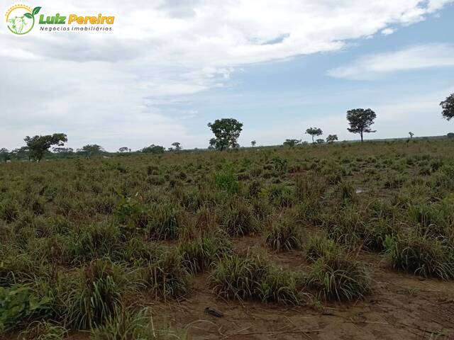 #2389 - Fazenda para Venda em Dois Irmãos do Tocantins - TO - 3