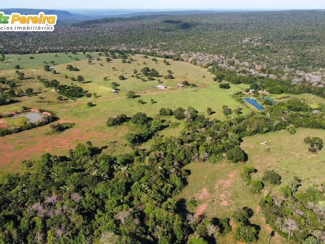 Venda em Zona Rural - Sonora