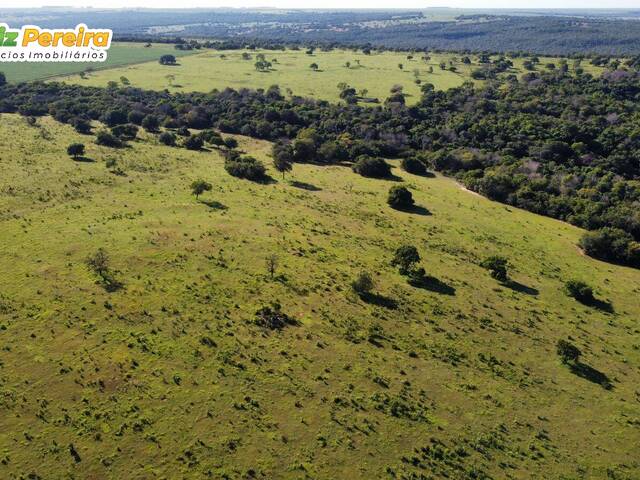 #2390 - Fazenda para Venda em Sonora - MS - 3