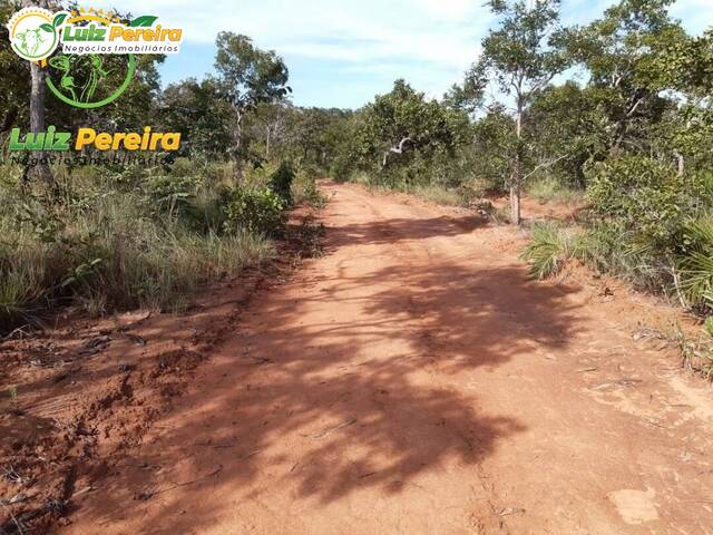 #2391 - Fazenda para Venda em Peixe - TO - 2