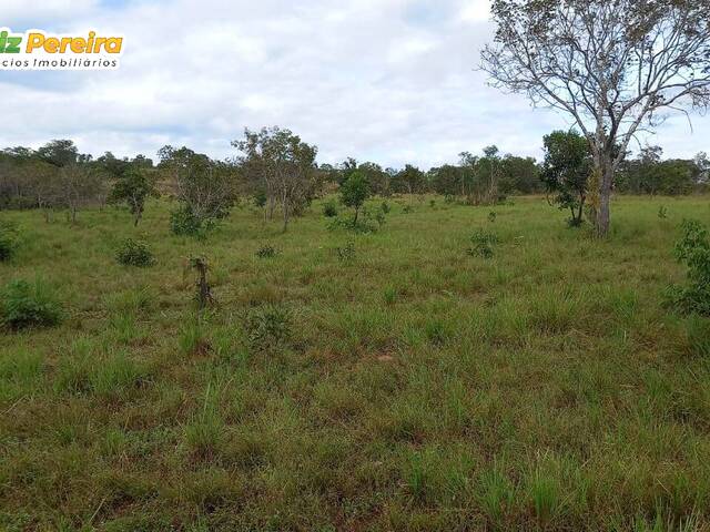 #2393 - Fazenda para Venda em Palmeiras do Tocantins - TO - 1