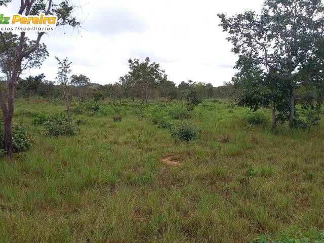 #2393 - Fazenda para Venda em Palmeiras do Tocantins - TO - 2