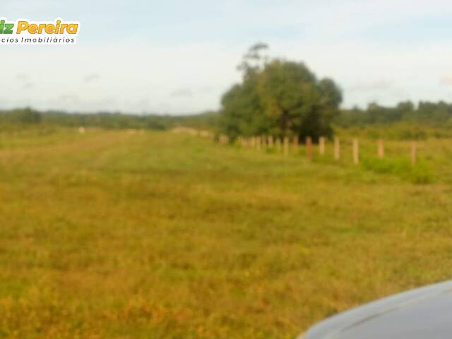 #2396 - Fazenda para Venda em Cachoeira do Piriá - PA - 1