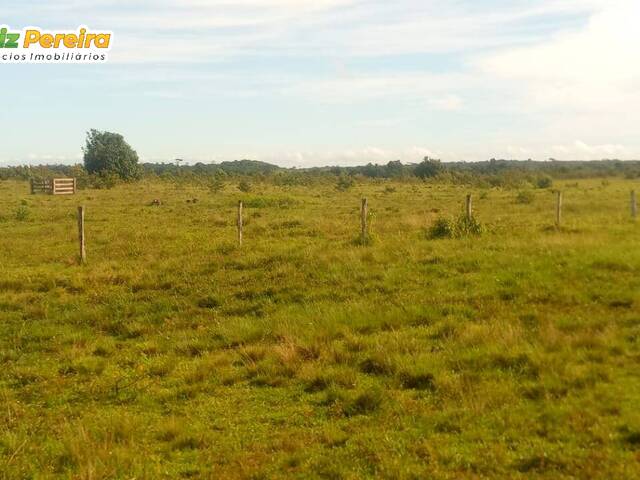 #2396 - Fazenda para Venda em Cachoeira do Piriá - PA - 2