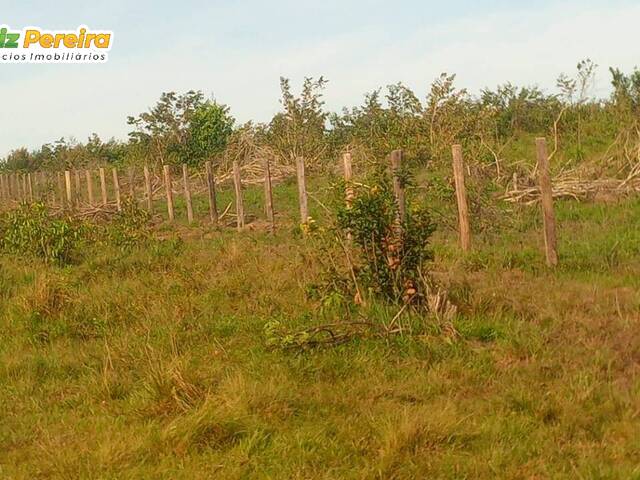 #2396 - Fazenda para Venda em Cachoeira do Piriá - PA - 3