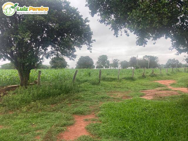 #2401 - Fazenda para Venda em Nioaque - MS