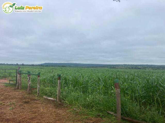 #2401 - Fazenda para Venda em Nioaque - MS - 2