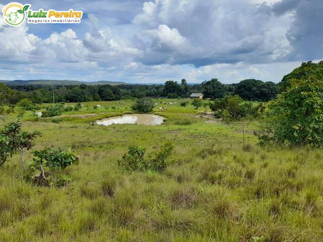 #2403 - Fazenda para Venda em Barra do Ouro - TO - 1