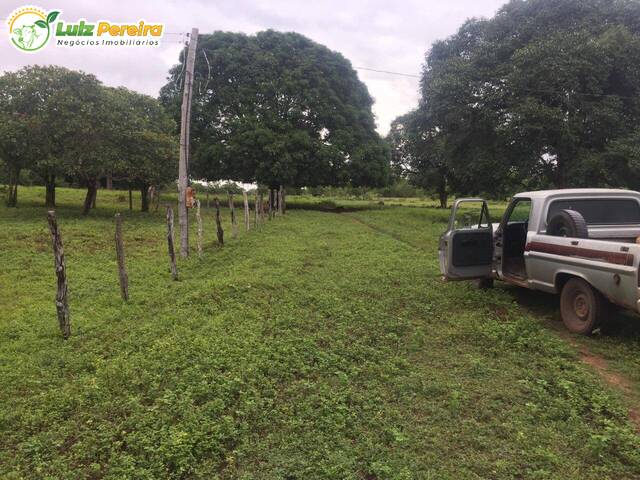 #2403 - Fazenda para Venda em Barra do Ouro - TO - 2