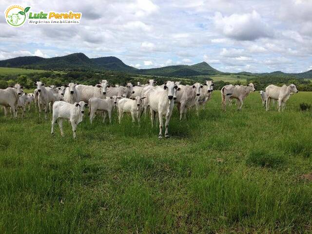 #2406 - Fazenda para Venda em Bonito - MS - 1