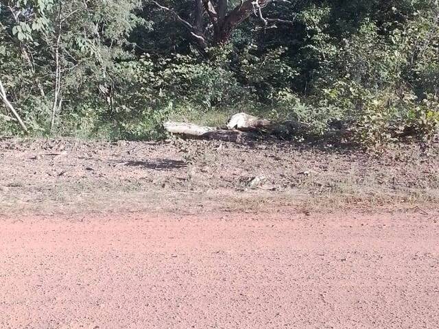 #2407 - Fazenda para Venda em Grajaú - MA - 2