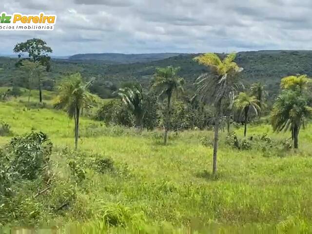 #2408 - Fazenda para Venda em Araguaína - TO