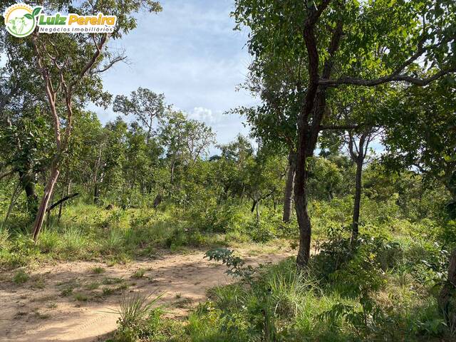 #2411 - Fazenda para Venda em São Francisco do Maranhão - MA - 1
