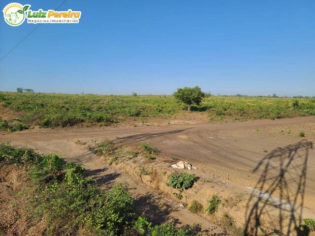 #2413 - Fazenda para Venda em Matões - MA