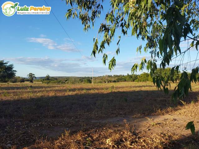 #2416 - Fazenda para Venda em São João dos Patos - MA