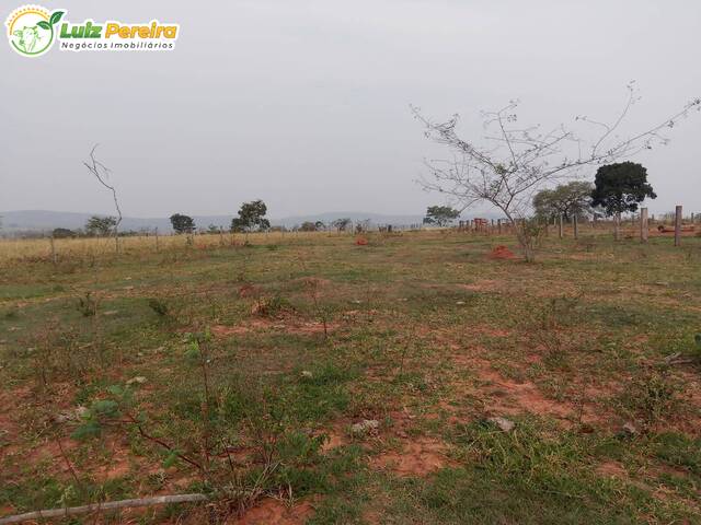 #2405 - Fazenda para Venda em Rio Negro - MS - 2