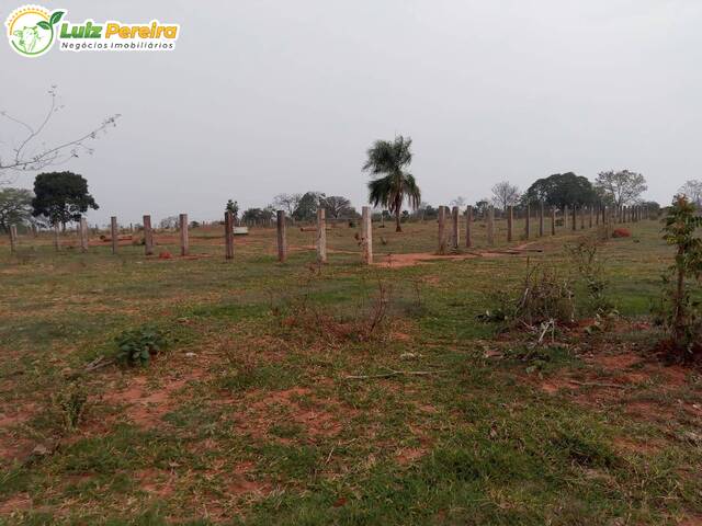 Venda em Rio Negro - Rio Negro