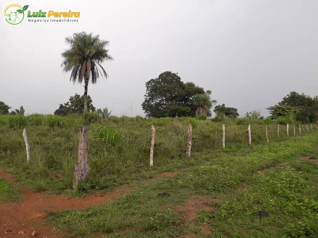 #2419 - Fazenda para Venda em Pau d`Arco - PA - 2