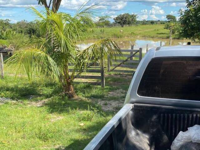 Fazenda para Venda em Santa Maria das Barreiras - 5