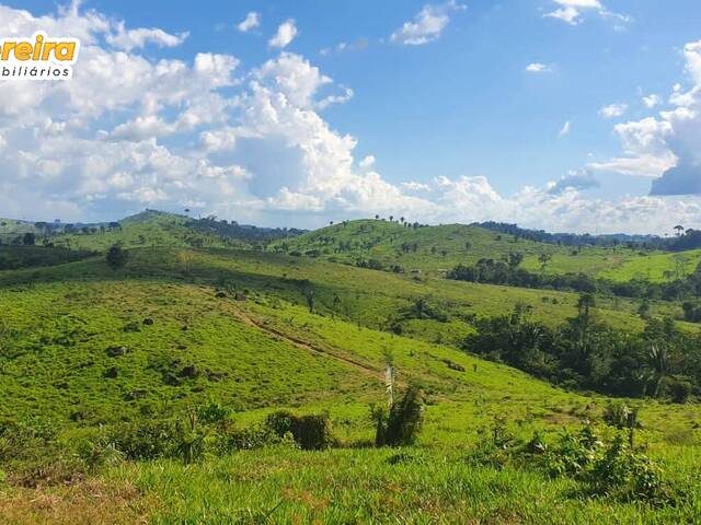 #2422 - Fazenda para Venda em Pacajá - PA - 3