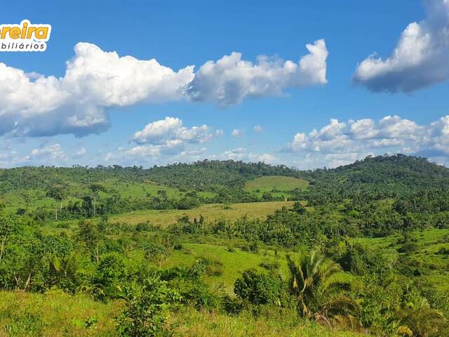 #2422 - Fazenda para Venda em Pacajá - PA - 1