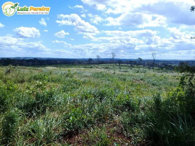 #2316 - Fazenda para Venda em Formosa da Serra Negra - MA - 3