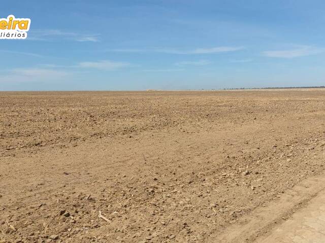 #2423 - Fazenda para Venda em São Félix de Balsas - MA - 3