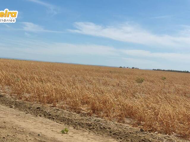 #2423 - Fazenda para Venda em São Félix de Balsas - MA - 2