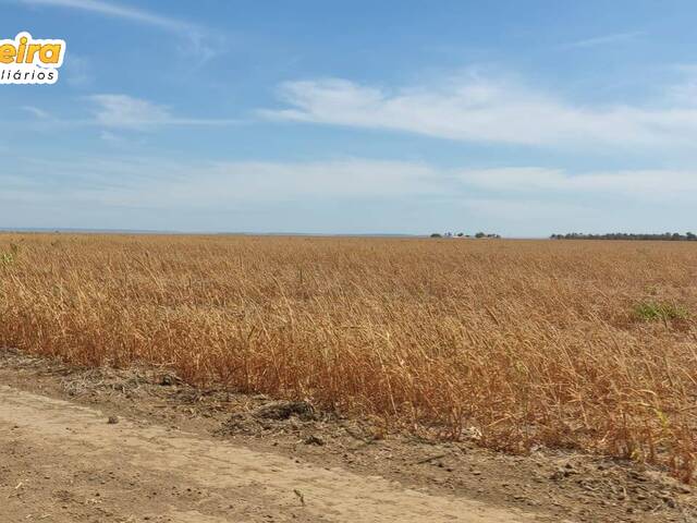 Venda em Zona rural - São Félix de Balsas