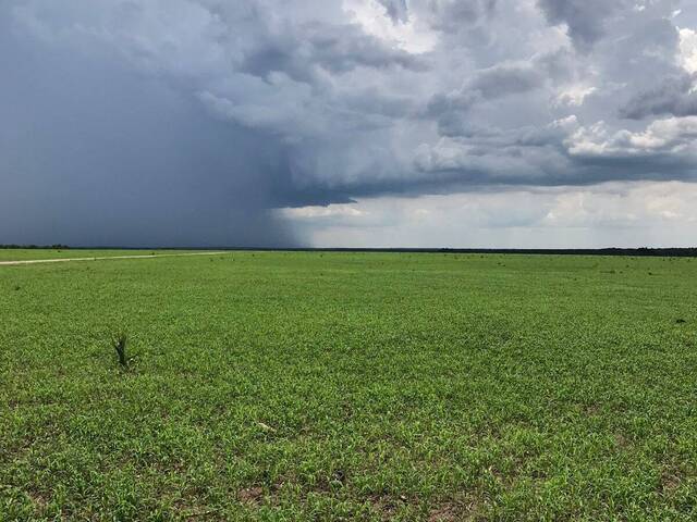 #2424 - Fazenda para Venda em Riachão - MA - 1