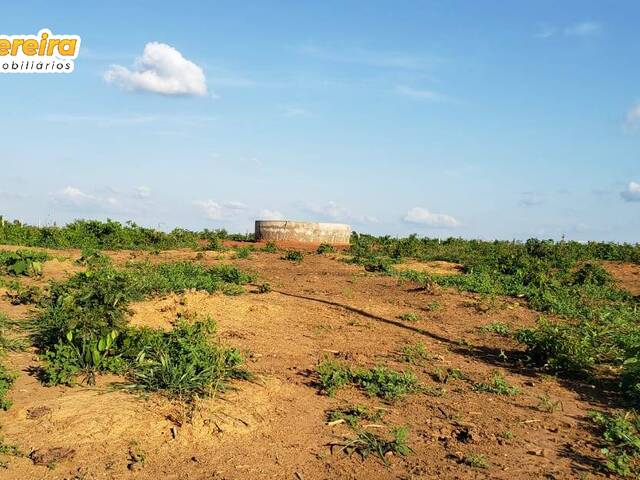 #2425 - Fazenda para Venda em Colinas - MA