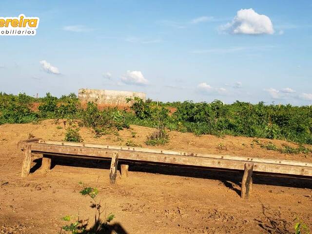 #2425 - Fazenda para Venda em Colinas - MA - 2