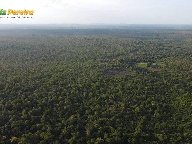 #2426 - Fazenda para Venda em Mirador - MA - 2